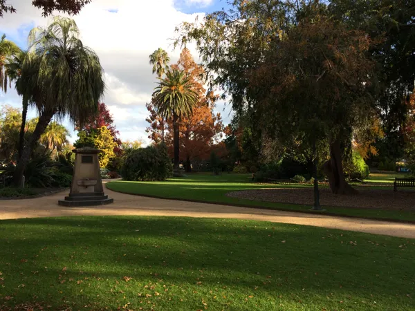 Autumn Gold: Albury Set for a Perfect Sunny Monday